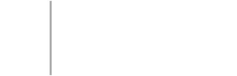 BidSquirrel