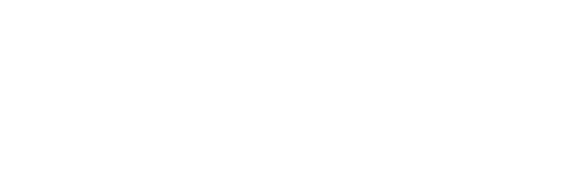 BidSquirrel