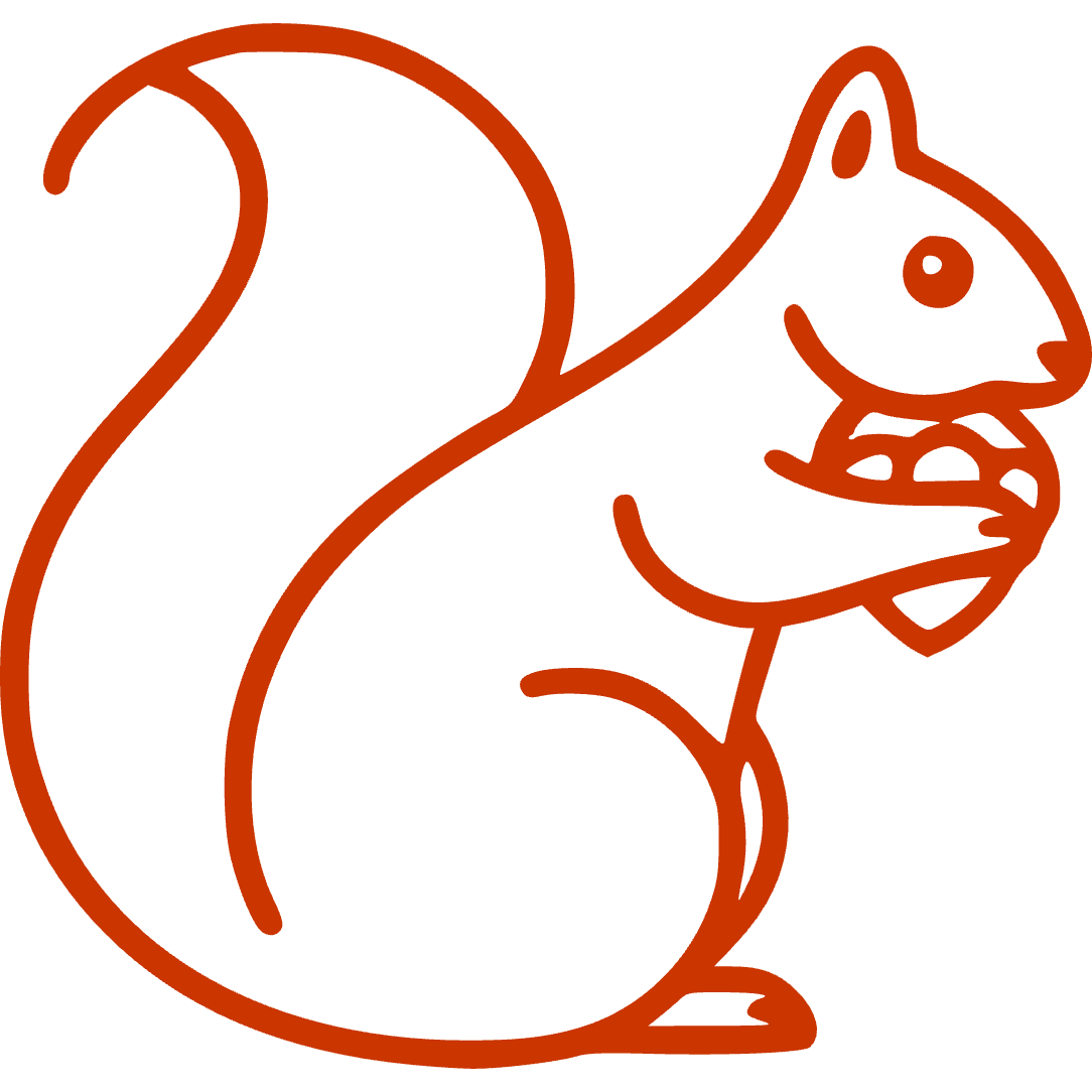 BidSquirrel